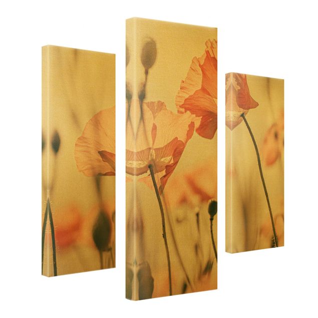 Print on canvas - Poppy Flowers In Summer Breeze