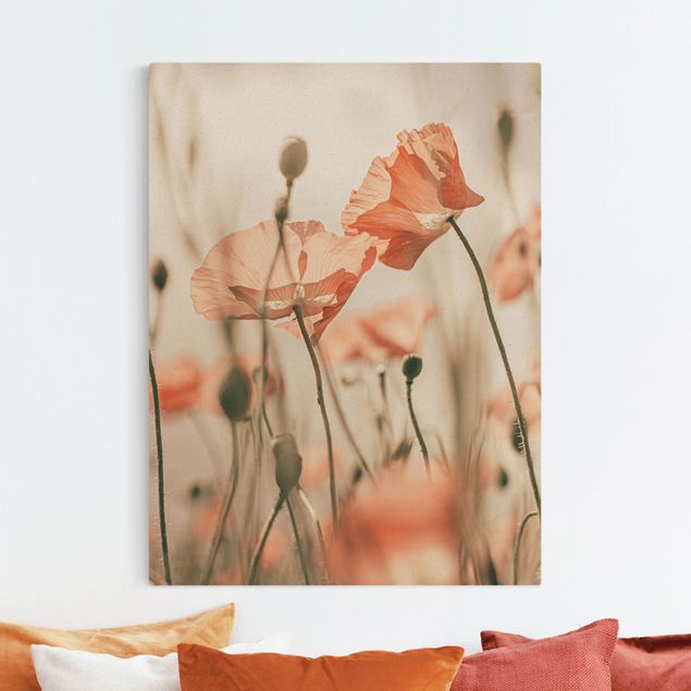 Canvas print gold - Poppy Flowers In Summer Breeze