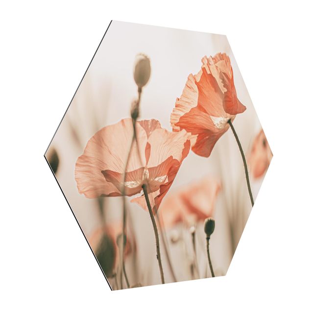 Alu-Dibond hexagon - Poppy Flowers In Summer Breeze
