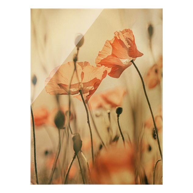 Glass print - Poppy Flowers In Summer Breeze - Portrait format
