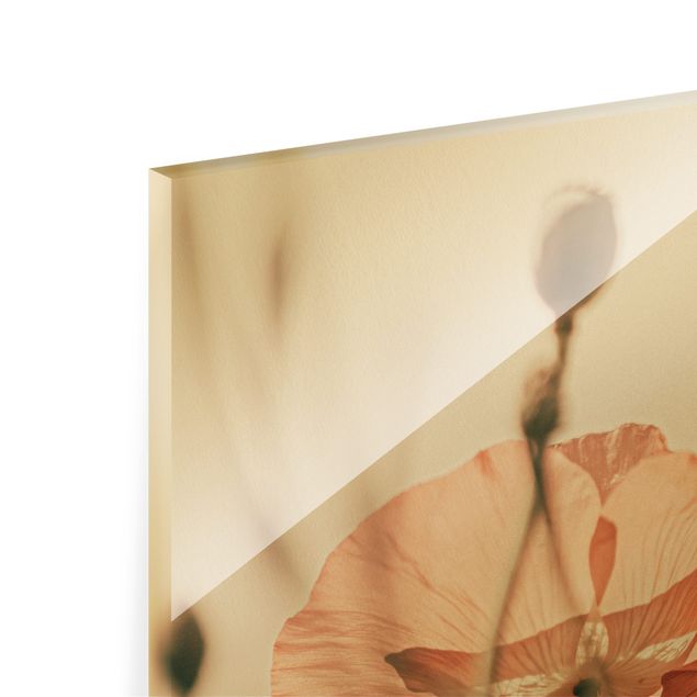 Glass print - Poppy Flowers In Summer Breeze - Landscape format