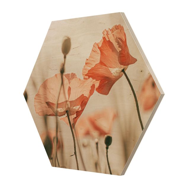 Wooden hexagon - Poppy Flowers In Summer Breeze