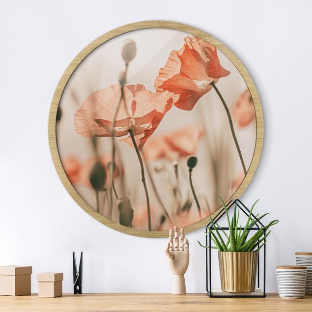 Framed prints round Poppy Flowers In Summer Breeze