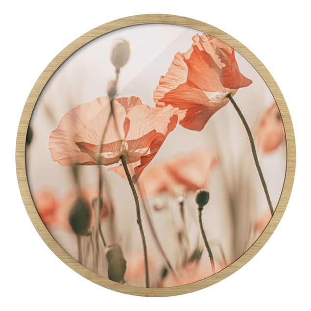 Circular framed print - Poppy Flowers In Summer Breeze