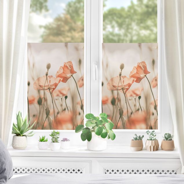 Window decoration - Poppy Flowers In Summer Breeze