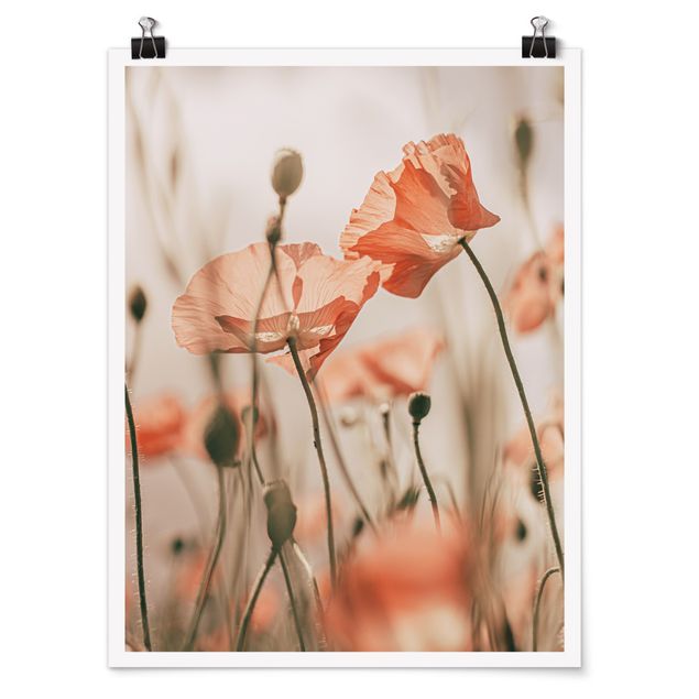 Poster - Poppy Flowers In Summer Breeze