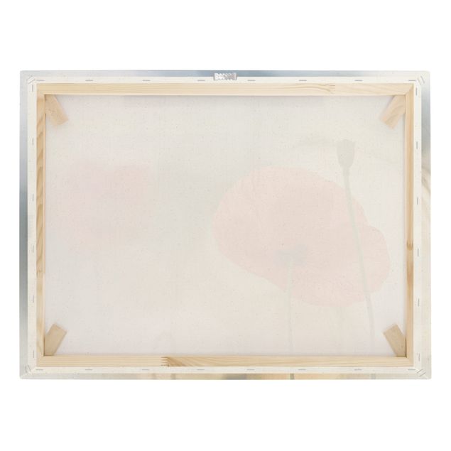 Natural canvas print - Poppy In The Morning - Landscape format 4:3