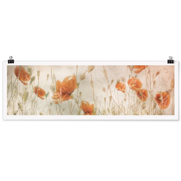 Poster - Poppy Flowers And Grasses In A Field