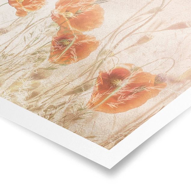 Poster - Poppy Flowers And Grasses In A Field