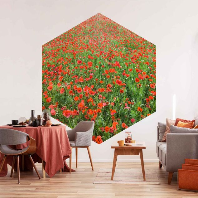 Self-adhesive hexagonal pattern wallpaper - Poppy Field