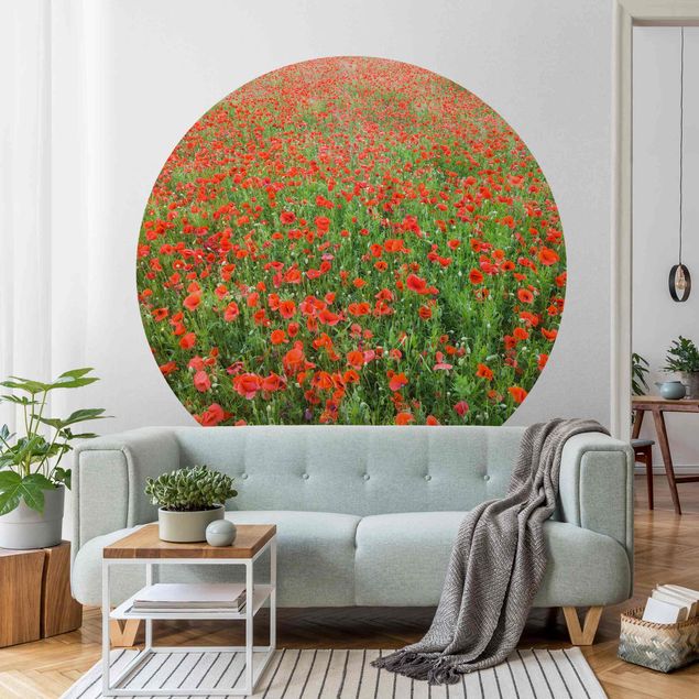 Self-adhesive round wallpaper - Poppy Field