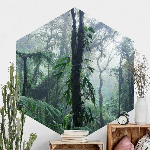 Self-adhesive hexagonal wall mural Monteverde Cloud Forest