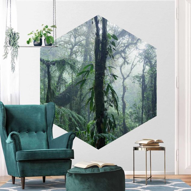 Wallpapers Monteverde Cloud Forest