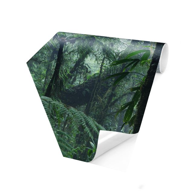 Self-adhesive hexagonal pattern wallpaper - Monteverde Cloud Forest