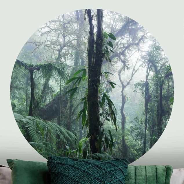 Matteo Colombo prints Monteverde Cloud Forest