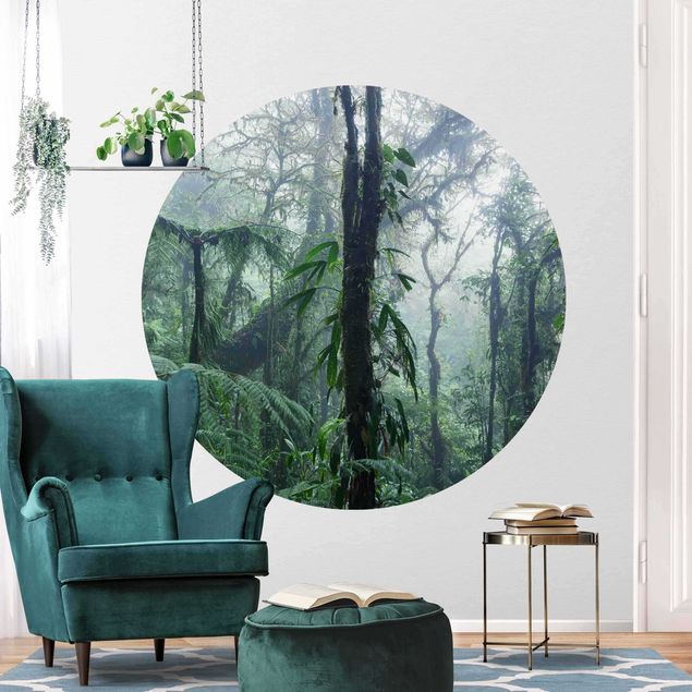 Wallpapers Monteverde Cloud Forest