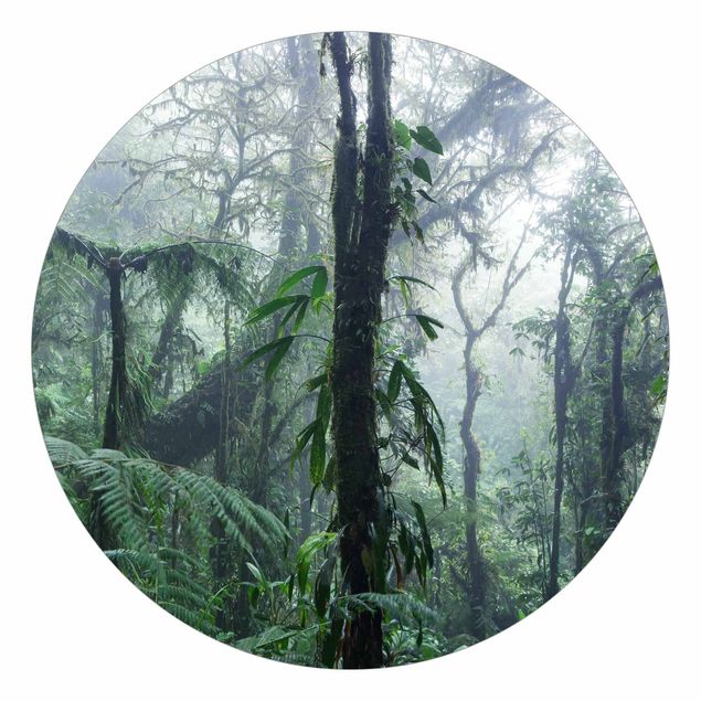 Self-adhesive round wallpaper - Monteverde Cloud Forest