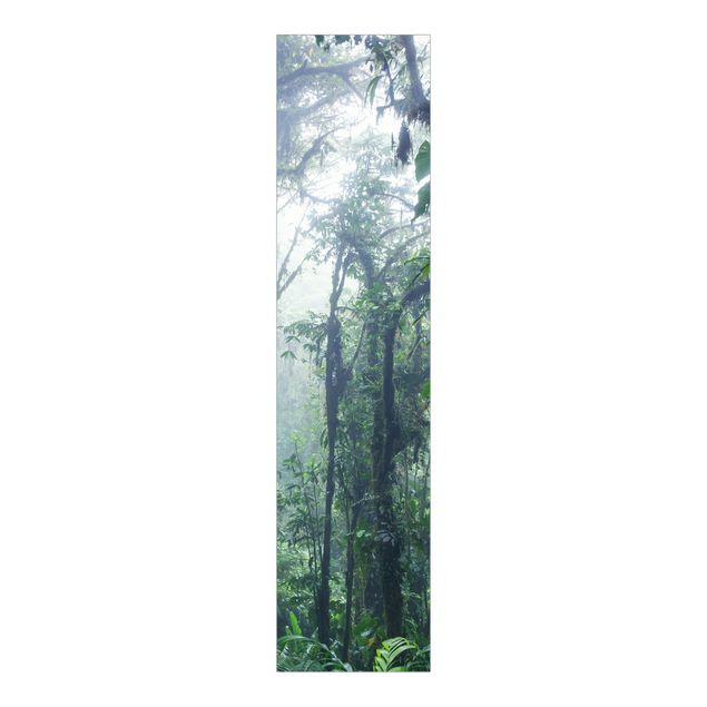 Sliding panel curtain - Monteverde Cloud Forest