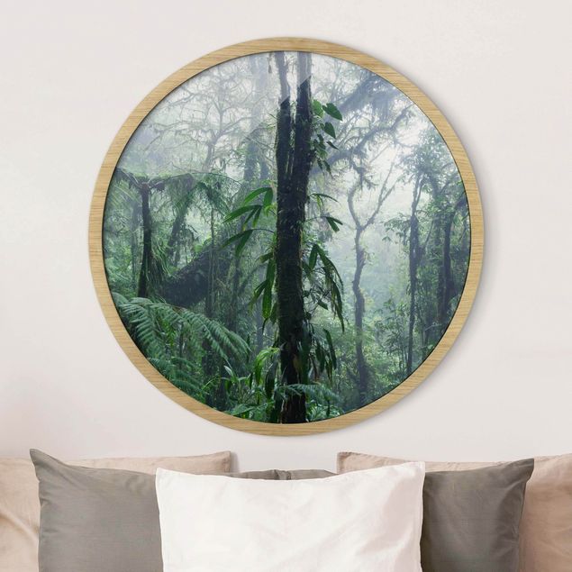 Framed prints round Monteverde Cloud Forest