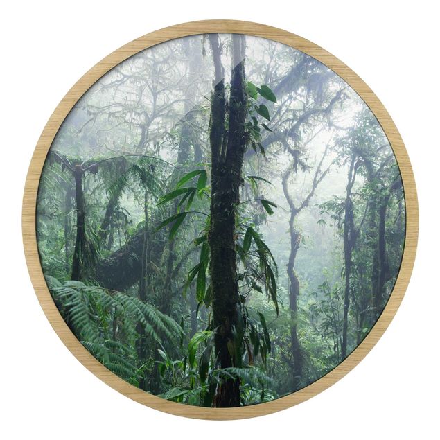 Circular framed print - Monteverde Cloud Forest