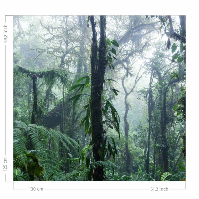 forest curtains Monteverde Cloud Forest