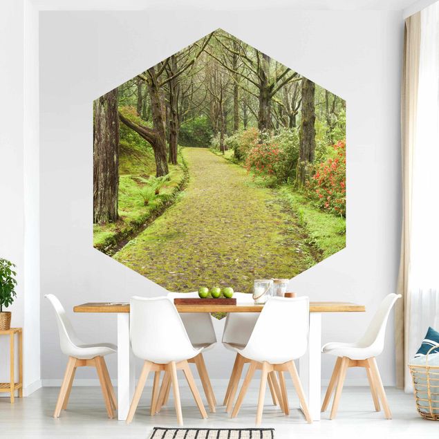 Self-adhesive hexagonal pattern wallpaper - Moss-covered Road