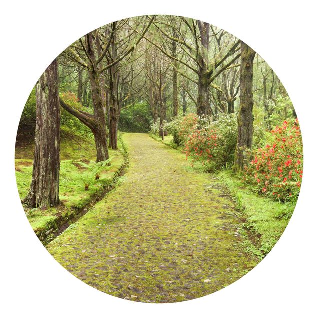 Self-adhesive round wallpaper forest - Moss-covered Road
