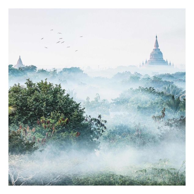Print on forex - Morning Fog Over The Jungle Of Bagan - Square 1:1