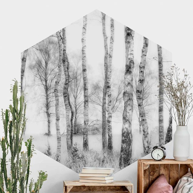 Self-adhesive hexagonal wall mural Mystic Birch Forest Black And White