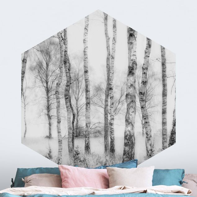 Wallpapers Mystic Birch Forest Black And White