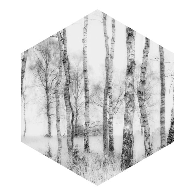 Self-adhesive hexagonal pattern wallpaper - Mystic Birch Forest Black And White
