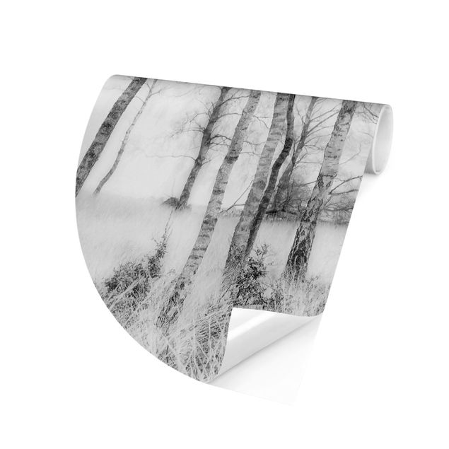 Self-adhesive round wallpaper forest - Mystic Birch Forest Black And White