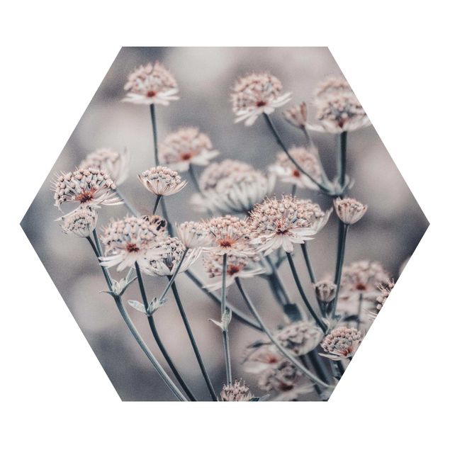 Alu-Dibond hexagon - Mystical Bouquet Of Flowers