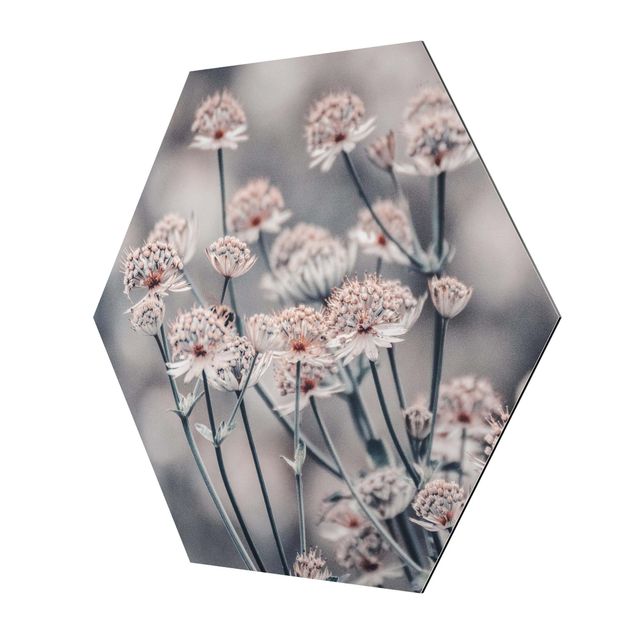 Alu-Dibond hexagon - Mystical Bouquet Of Flowers