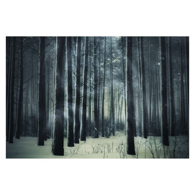 Wallpaper - Mystical Winter Forest