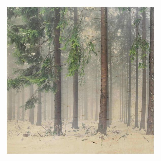 Wood print - Conifers In Winter