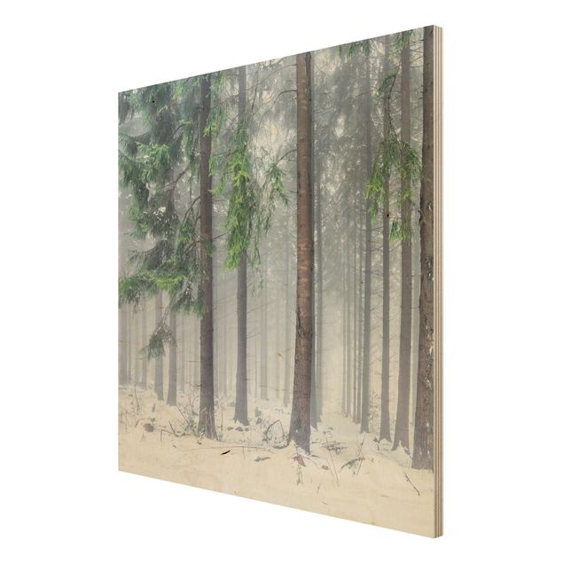Wood print - Conifers In Winter