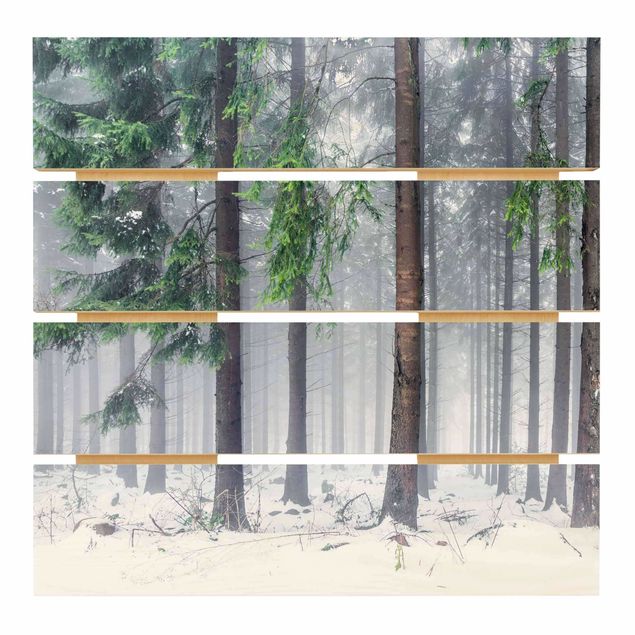 Print on wood - Conifers In Winter