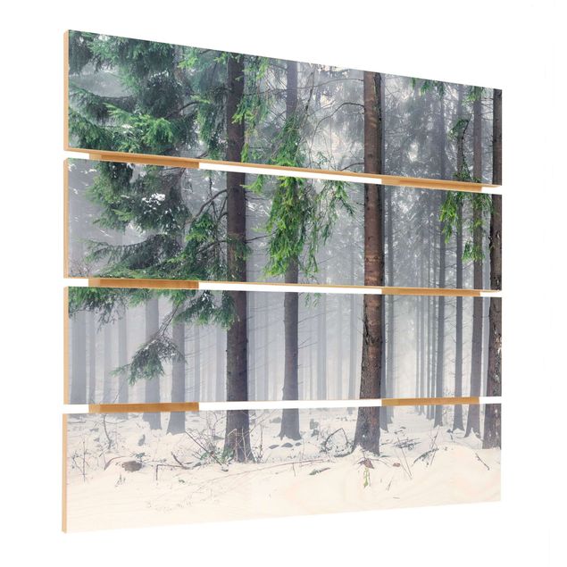 Print on wood - Conifers In Winter