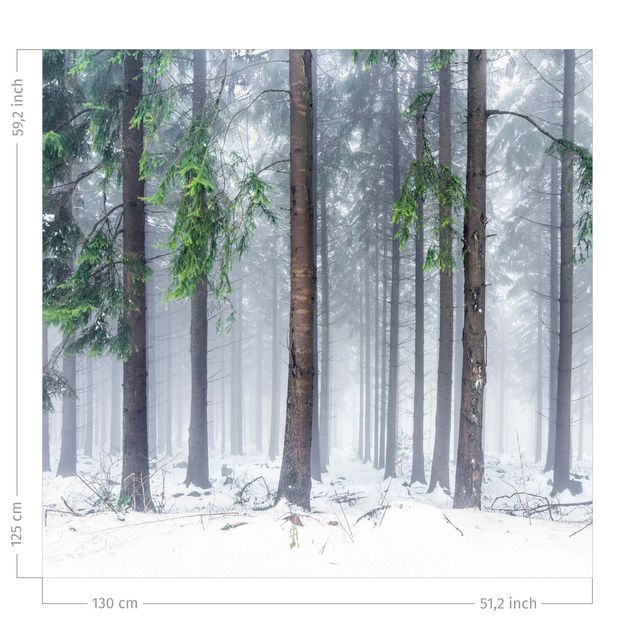 forest drapery Conifers In Winter