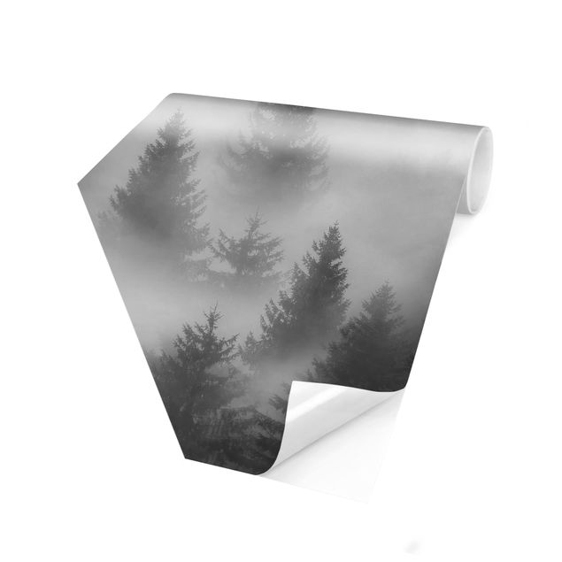 Self-adhesive hexagonal pattern wallpaper - Coniferous Forest In The Fog Black And White