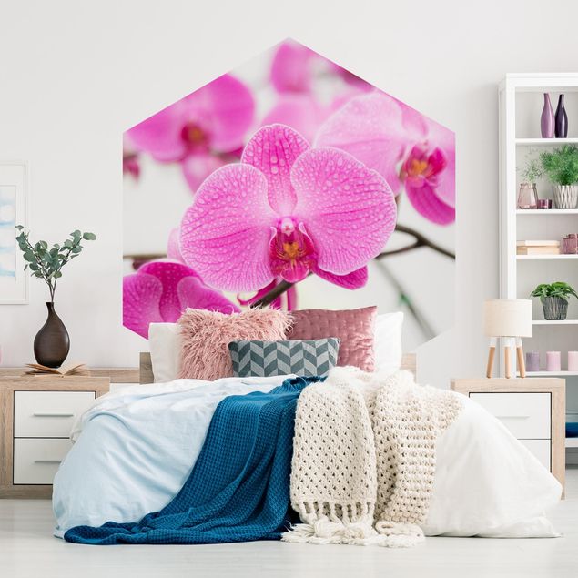 Self-adhesive hexagonal pattern wallpaper - Close-Up Orchid