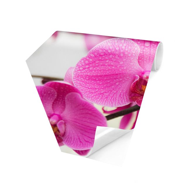 Self-adhesive hexagonal pattern wallpaper - Close-Up Orchid