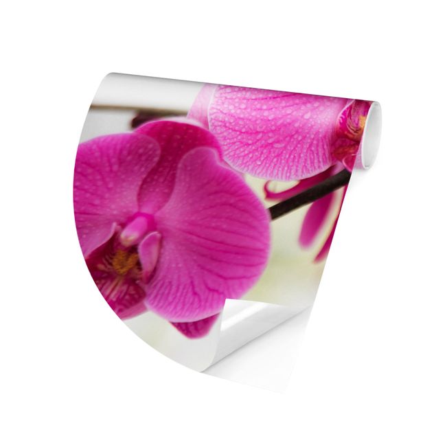Self-adhesive round wallpaper - Close-Up Orchid