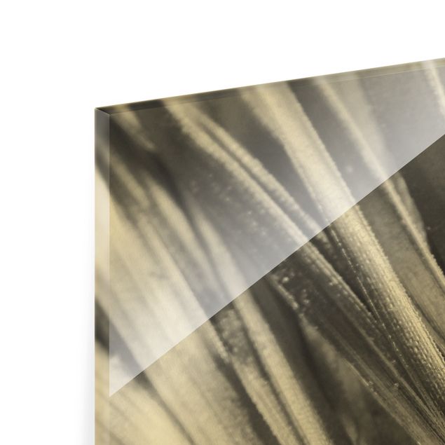 Glass print - Close-Up Palm Leaves Silver - Portrait format