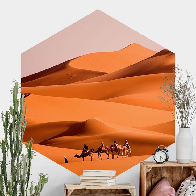 Self-adhesive hexagonal wall mural Namib Desert