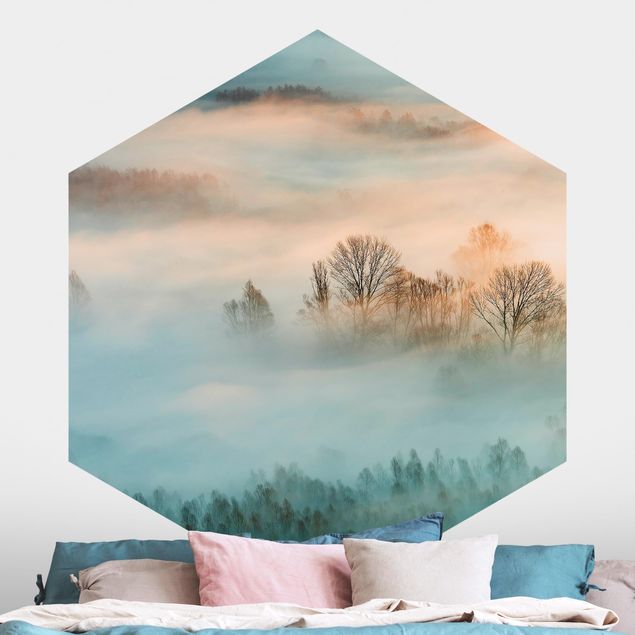 Self-adhesive hexagonal wall mural Fog At Sunrise
