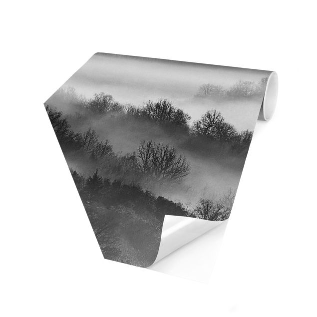 Self-adhesive hexagonal pattern wallpaper - Fog At Sunset Black And White
