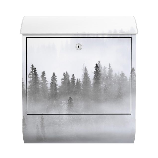 Letterbox - Fog In The Fir Forest Black And White