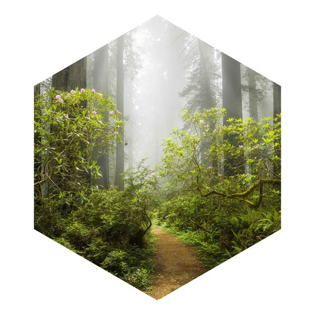 Self-adhesive hexagonal pattern wallpaper - Misty Forest Path